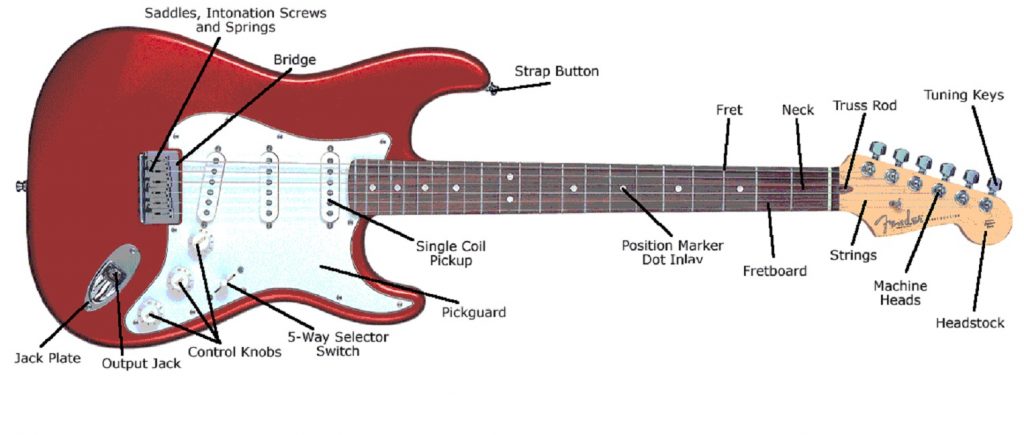 Anatomy of an Electric Guitar